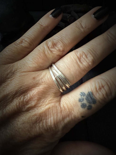 2 Anillos